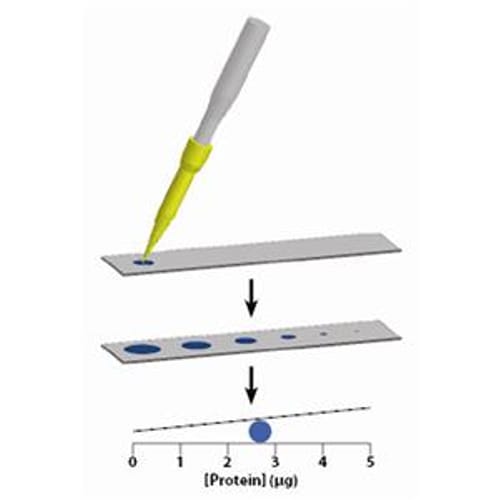 Protein dotMETRIC Kit with Spot Application Device, 300 Assays (xác định nồng độ protein), Hãng G-Biosciences, Mỹ